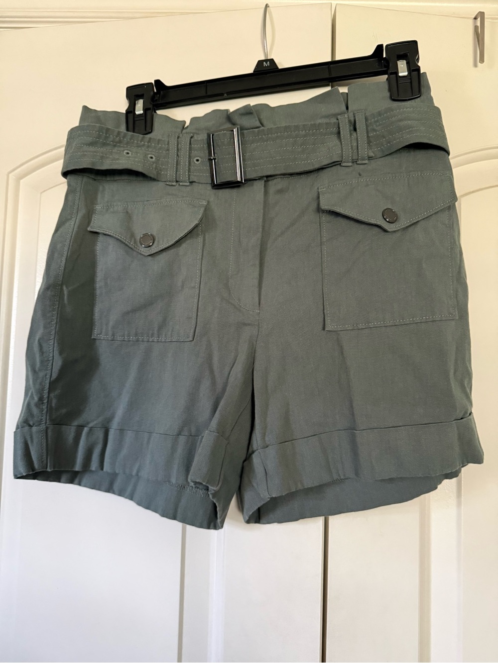 White House Black Market High-Waist Shorts with Belt.